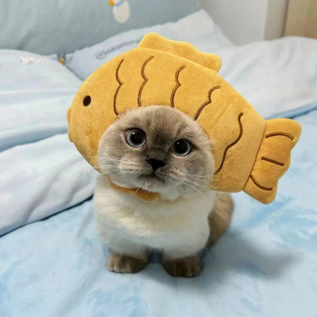 Lucky Fish Cat Hat - Adorable Cotton Head Cover for Cats